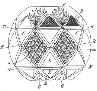 dp22581